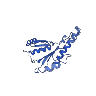 20833_6uov_W_v1-1
Cryo-EM reconstruction of the PrgHK periplasmic ring from Salmonella's needle complex assembled in the absence of the export apparatus