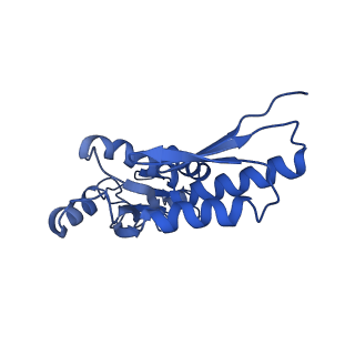 20833_6uov_X_v1-1
Cryo-EM reconstruction of the PrgHK periplasmic ring from Salmonella's needle complex assembled in the absence of the export apparatus