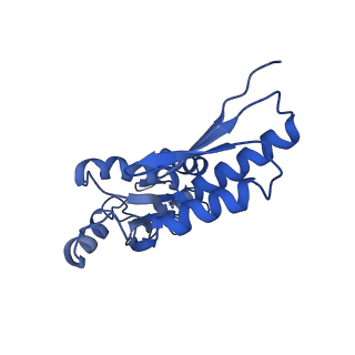 20833_6uov_Z_v1-1
Cryo-EM reconstruction of the PrgHK periplasmic ring from Salmonella's needle complex assembled in the absence of the export apparatus