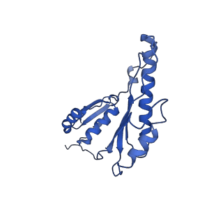 20833_6uov_a_v1-1
Cryo-EM reconstruction of the PrgHK periplasmic ring from Salmonella's needle complex assembled in the absence of the export apparatus