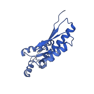 20833_6uov_b_v1-0
Cryo-EM reconstruction of the PrgHK periplasmic ring from Salmonella's needle complex assembled in the absence of the export apparatus
