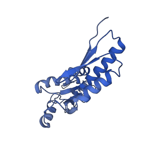 20833_6uov_b_v1-1
Cryo-EM reconstruction of the PrgHK periplasmic ring from Salmonella's needle complex assembled in the absence of the export apparatus