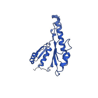 20833_6uov_c_v1-1
Cryo-EM reconstruction of the PrgHK periplasmic ring from Salmonella's needle complex assembled in the absence of the export apparatus