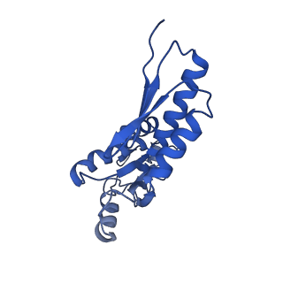 20833_6uov_d_v1-1
Cryo-EM reconstruction of the PrgHK periplasmic ring from Salmonella's needle complex assembled in the absence of the export apparatus