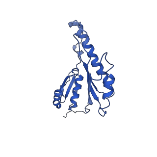 20833_6uov_e_v1-1
Cryo-EM reconstruction of the PrgHK periplasmic ring from Salmonella's needle complex assembled in the absence of the export apparatus