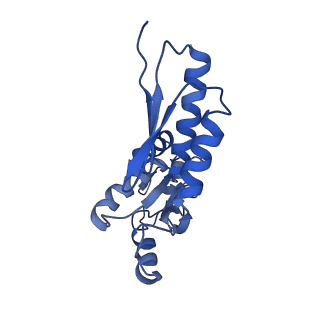 20833_6uov_f_v1-0
Cryo-EM reconstruction of the PrgHK periplasmic ring from Salmonella's needle complex assembled in the absence of the export apparatus