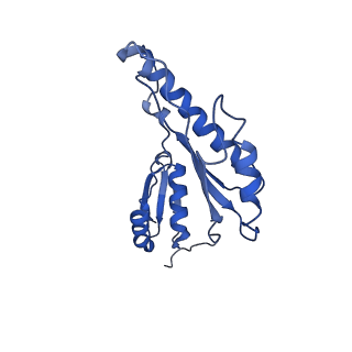 20833_6uov_g_v1-1
Cryo-EM reconstruction of the PrgHK periplasmic ring from Salmonella's needle complex assembled in the absence of the export apparatus