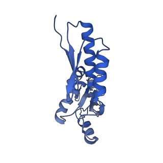 20833_6uov_h_v1-1
Cryo-EM reconstruction of the PrgHK periplasmic ring from Salmonella's needle complex assembled in the absence of the export apparatus