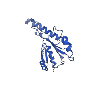 20833_6uov_i_v1-0
Cryo-EM reconstruction of the PrgHK periplasmic ring from Salmonella's needle complex assembled in the absence of the export apparatus