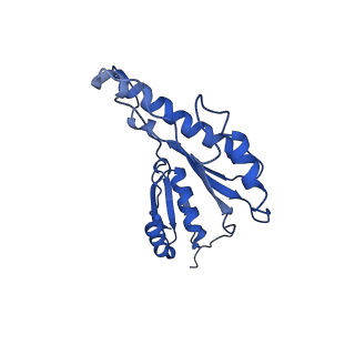 20833_6uov_i_v1-1
Cryo-EM reconstruction of the PrgHK periplasmic ring from Salmonella's needle complex assembled in the absence of the export apparatus