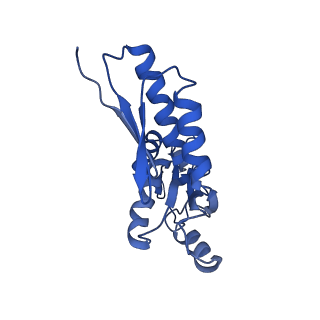 20833_6uov_j_v1-1
Cryo-EM reconstruction of the PrgHK periplasmic ring from Salmonella's needle complex assembled in the absence of the export apparatus