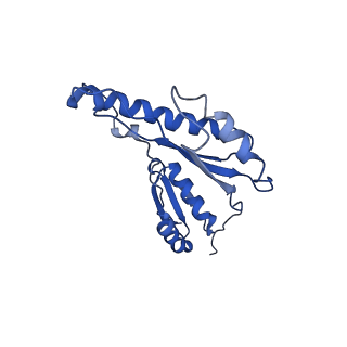 20833_6uov_k_v1-1
Cryo-EM reconstruction of the PrgHK periplasmic ring from Salmonella's needle complex assembled in the absence of the export apparatus