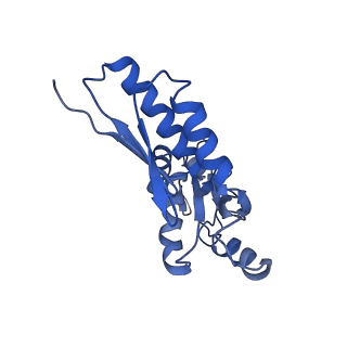 20833_6uov_l_v1-1
Cryo-EM reconstruction of the PrgHK periplasmic ring from Salmonella's needle complex assembled in the absence of the export apparatus