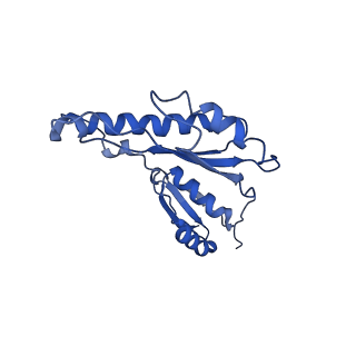 20833_6uov_m_v1-1
Cryo-EM reconstruction of the PrgHK periplasmic ring from Salmonella's needle complex assembled in the absence of the export apparatus