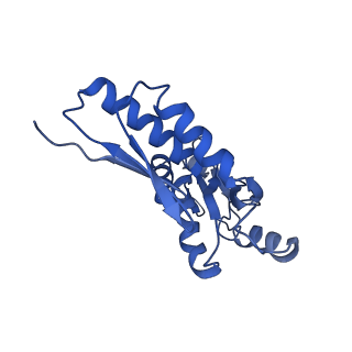 20833_6uov_n_v1-1
Cryo-EM reconstruction of the PrgHK periplasmic ring from Salmonella's needle complex assembled in the absence of the export apparatus