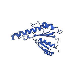 20833_6uov_o_v1-1
Cryo-EM reconstruction of the PrgHK periplasmic ring from Salmonella's needle complex assembled in the absence of the export apparatus