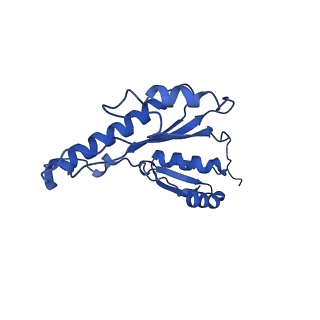 20833_6uov_q_v1-0
Cryo-EM reconstruction of the PrgHK periplasmic ring from Salmonella's needle complex assembled in the absence of the export apparatus