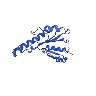 20833_6uov_q_v1-1
Cryo-EM reconstruction of the PrgHK periplasmic ring from Salmonella's needle complex assembled in the absence of the export apparatus