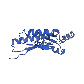 20833_6uov_t_v1-1
Cryo-EM reconstruction of the PrgHK periplasmic ring from Salmonella's needle complex assembled in the absence of the export apparatus