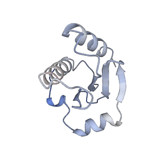 26636_7uo0_A_v1-0
E.coli RNaseP Holoenzyme with Mg2+
