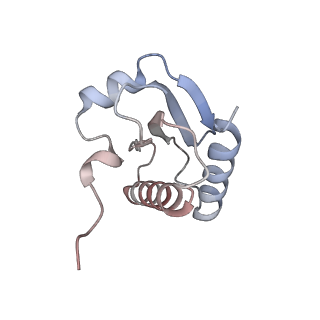 26637_7uo1_A_v1-0
E.coli RNaseP Holoenzyme with Mg2+