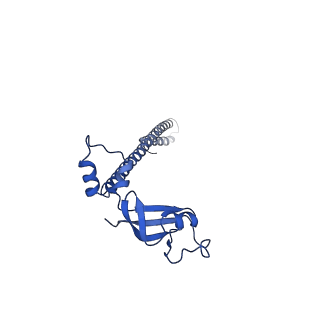 26639_7uo4_B_v1-3
SARS-CoV-2 replication-transcription complex bound to Remdesivir triphosphate, in a pre-catalytic state