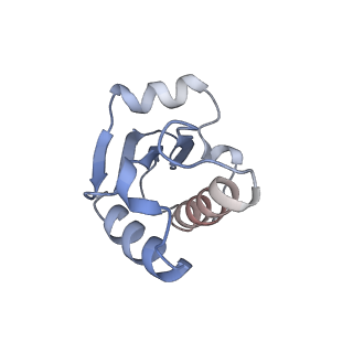 26640_7uo5_A_v1-0
E.coli RNaseP Holoenzyme with Mg2+