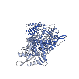 26641_7uo7_A_v1-3
SARS-CoV-2 replication-transcription complex bound to ATP, in a pre-catalytic state