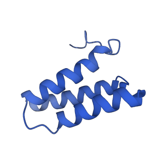 26641_7uo7_C_v1-3
SARS-CoV-2 replication-transcription complex bound to ATP, in a pre-catalytic state