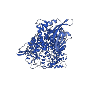 26642_7uo9_A_v1-3
SARS-CoV-2 replication-transcription complex bound to UTP, in a pre-catalytic state
