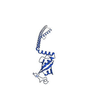 26642_7uo9_D_v1-3
SARS-CoV-2 replication-transcription complex bound to UTP, in a pre-catalytic state