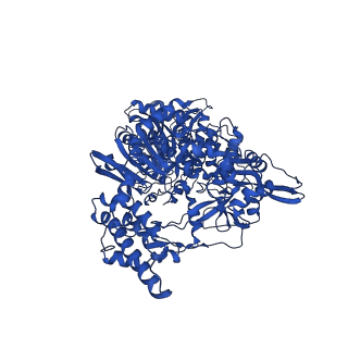 26645_7uob_A_v1-3
SARS-CoV-2 replication-transcription complex bound to GTP, in a pre-catalytic state