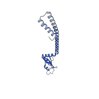 26645_7uob_D_v1-3
SARS-CoV-2 replication-transcription complex bound to GTP, in a pre-catalytic state