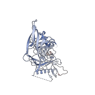 26648_7uoj_A_v1-0
The CryoEM structure of N49-P9.6-FR3 and PGT121 Fabs in complex with BG505 SOSIP.664