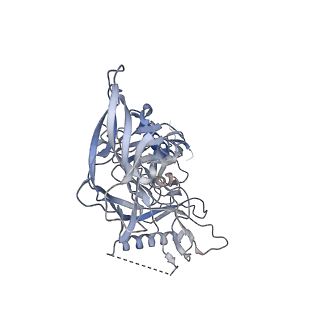 26648_7uoj_A_v2-0
The CryoEM structure of N49-P9.6-FR3 and PGT121 Fabs in complex with BG505 SOSIP.664