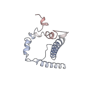26648_7uoj_B_v1-0
The CryoEM structure of N49-P9.6-FR3 and PGT121 Fabs in complex with BG505 SOSIP.664