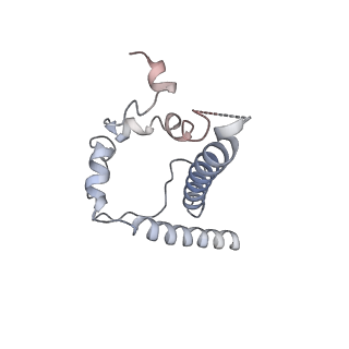 26648_7uoj_B_v2-0
The CryoEM structure of N49-P9.6-FR3 and PGT121 Fabs in complex with BG505 SOSIP.664