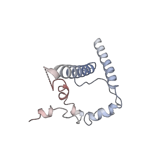 26648_7uoj_C_v2-0
The CryoEM structure of N49-P9.6-FR3 and PGT121 Fabs in complex with BG505 SOSIP.664