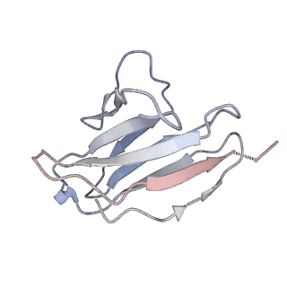 26648_7uoj_E_v2-0
The CryoEM structure of N49-P9.6-FR3 and PGT121 Fabs in complex with BG505 SOSIP.664