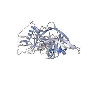 26648_7uoj_G_v1-0
The CryoEM structure of N49-P9.6-FR3 and PGT121 Fabs in complex with BG505 SOSIP.664