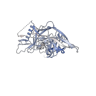 26648_7uoj_G_v2-0
The CryoEM structure of N49-P9.6-FR3 and PGT121 Fabs in complex with BG505 SOSIP.664