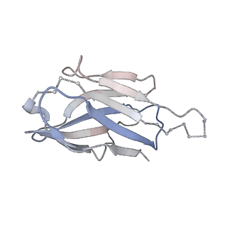 26648_7uoj_H_v2-0
The CryoEM structure of N49-P9.6-FR3 and PGT121 Fabs in complex with BG505 SOSIP.664