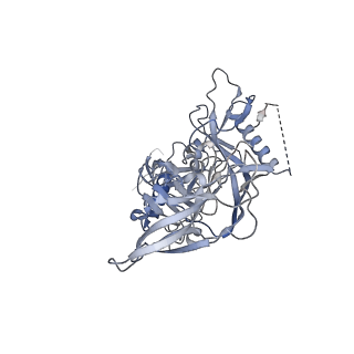 26648_7uoj_I_v1-0
The CryoEM structure of N49-P9.6-FR3 and PGT121 Fabs in complex with BG505 SOSIP.664