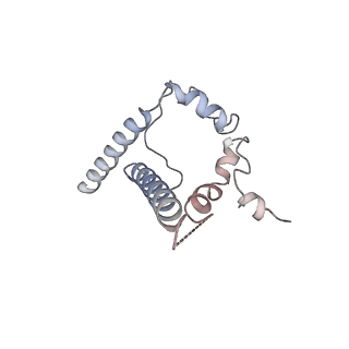 26648_7uoj_J_v1-0
The CryoEM structure of N49-P9.6-FR3 and PGT121 Fabs in complex with BG505 SOSIP.664