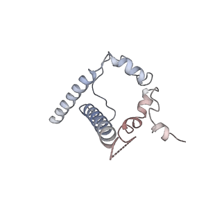 26648_7uoj_J_v2-0
The CryoEM structure of N49-P9.6-FR3 and PGT121 Fabs in complex with BG505 SOSIP.664