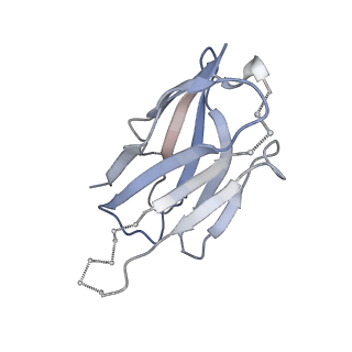 26648_7uoj_K_v2-0
The CryoEM structure of N49-P9.6-FR3 and PGT121 Fabs in complex with BG505 SOSIP.664