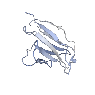 26648_7uoj_M_v2-0
The CryoEM structure of N49-P9.6-FR3 and PGT121 Fabs in complex with BG505 SOSIP.664