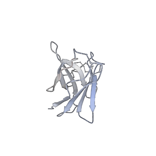 26648_7uoj_d_v1-0
The CryoEM structure of N49-P9.6-FR3 and PGT121 Fabs in complex with BG505 SOSIP.664