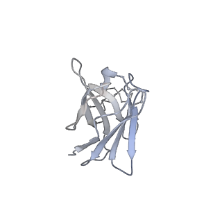 26648_7uoj_d_v2-0
The CryoEM structure of N49-P9.6-FR3 and PGT121 Fabs in complex with BG505 SOSIP.664