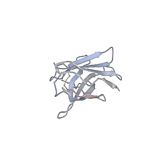 26648_7uoj_k_v2-0
The CryoEM structure of N49-P9.6-FR3 and PGT121 Fabs in complex with BG505 SOSIP.664